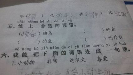 苏组词语(苏组词语词)