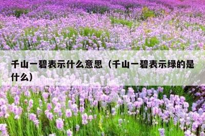 碧怎么组词语(碧怎么组词好听)