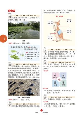 混的多音字组词(混的多音字组词组)