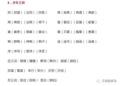 泞组词有哪些(泞组词有哪些呢)