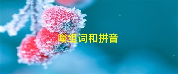 嗡的拼音组词(嗡的拼音组词意思)