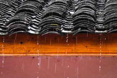 霖的组词(霖的组词有哪些呢)