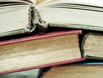 牡组词(牲组词)