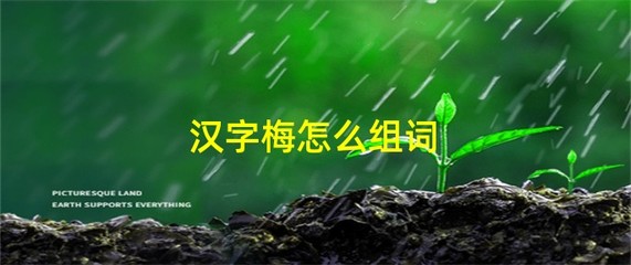 酸的组词有哪些(酸的组词组什么)