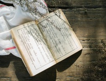 宿的组词是什么(宿的组词是什么啊怎么写)