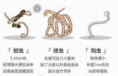 蜊组词(俐组词)