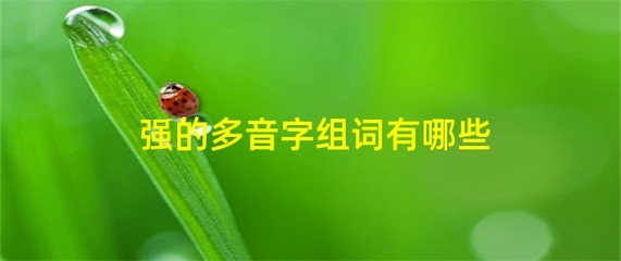 用弱字组词(用弱字组词填空)