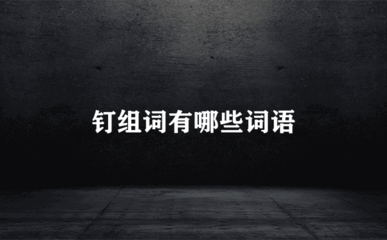 钉组词(错组词)