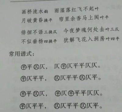 帘字组词(帘字组词和部首是什么)
