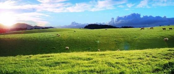 构组词和拼音(构组词拼音部首大写字母)