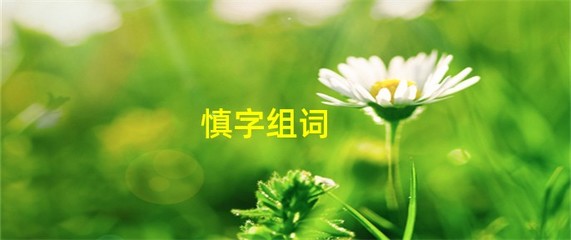 慎的组词是什么(慎的组词是什么啊)