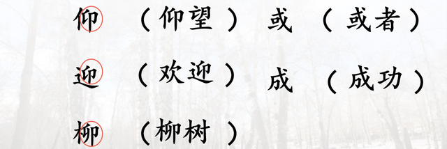 欢迎的迎组词(欢迎的迎组词100个)