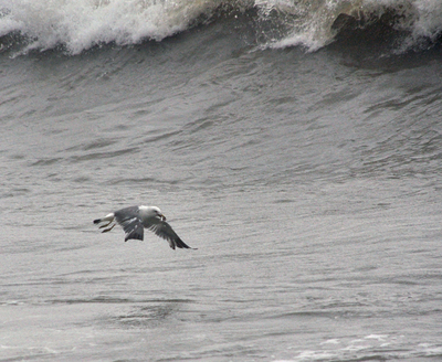组词泀的简单介绍