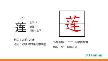 莲叶的莲组词(莲叶的莲组词啊哈啊哈啊哈啊哈啊哈啊)