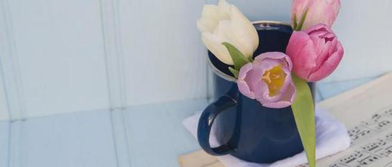 喝组词语有哪些(喝字组词语有哪些词语)