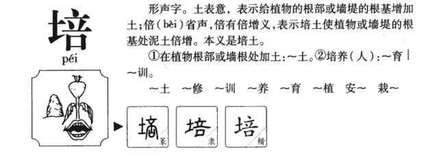 倍字组词(傍字组词)