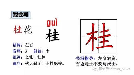 金桂的桂组词(金桂的桂组词和拼音)