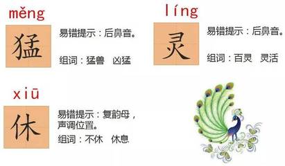 凶猛的猛组词(凶猛的猛组词怎么组)