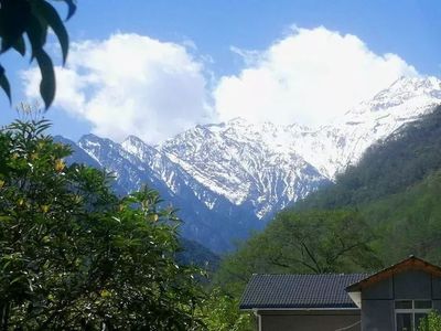 泱的组词(泱的组词是)