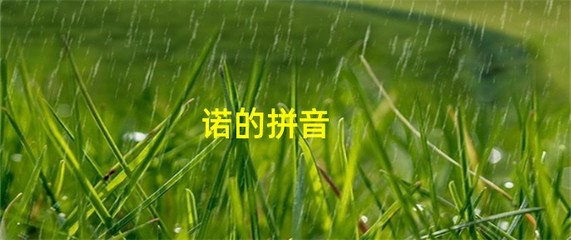 诺的组词(典的组词)