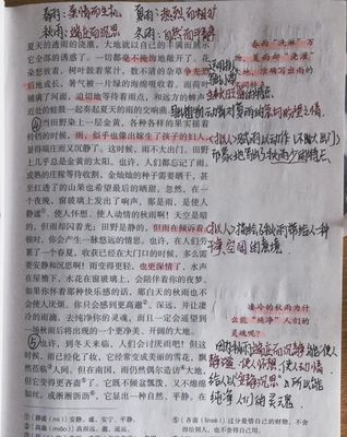 用洗组词(用洗字组词)