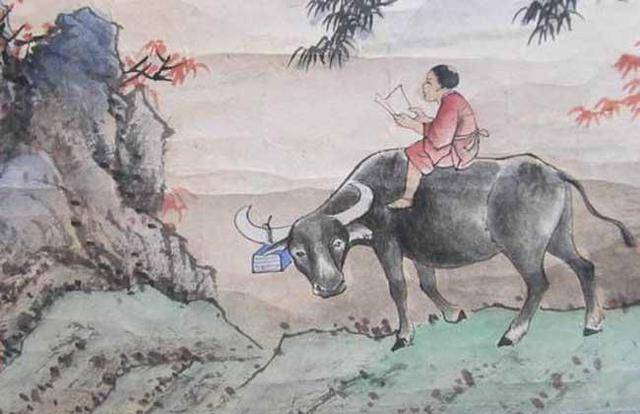 鞯组词(鞯组词组)