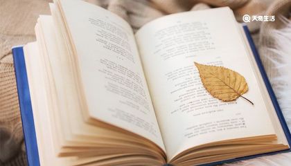 撩组词(撼组词)