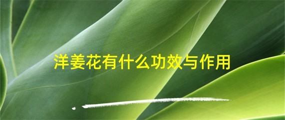 洋怎么组词(漾怎么组词)