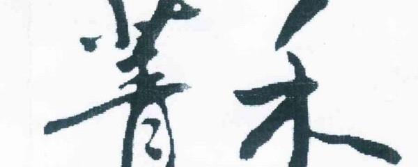 夷的组词(夷的组词造句)