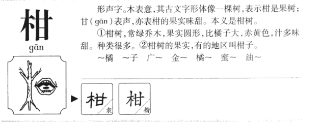 柑的组词(槽的组词)