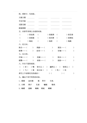 奶酪的酪组词(奶酪的酪组词什么)