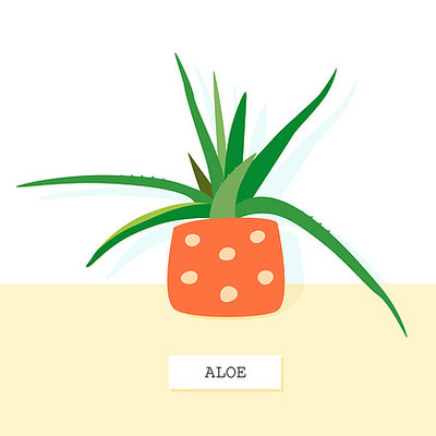 笌组词(笌组词有哪些呢)