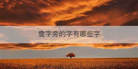 目组词有哪些(目组词有哪些两字)