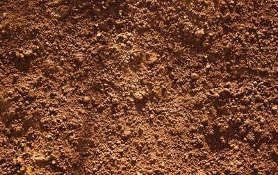 士组词(士组词2个字)