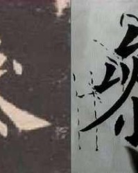 参多音字组词(参多音字组词三年级)