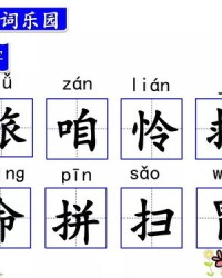 杜慧的肚怎么组词