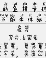 泪的拼音和组词