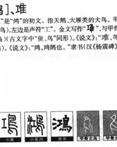 漪这两字怎么读怎么组词