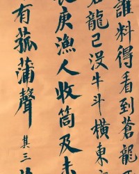 苏轼的是该怎么组词