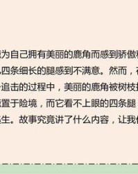 逼的组词(席的组词)