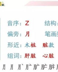永加偏旁组词(矣加偏旁组词)
