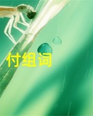 付组词(咐组词)