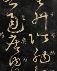 美字怎么组词没有得没