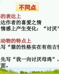鸡嫂的鸡怎么组词