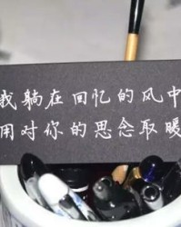 如愿茹素怎么组词