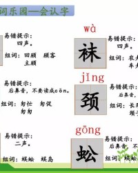 mi的四声组词(mi的四声组词是什么字)