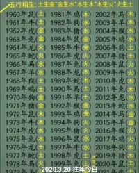 樱的组词