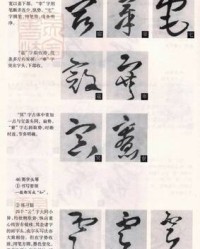 诗换偏旁组词(诗换偏旁组字再组词)
