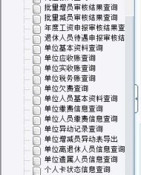 社保怎么组词