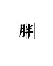 胖子的胖怎么组词